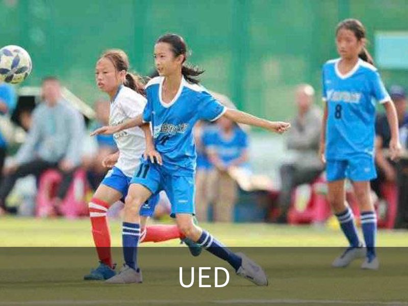 关于UED